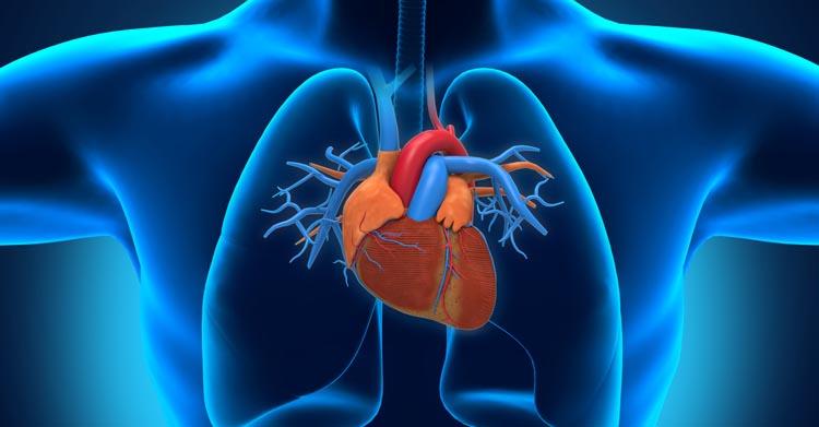 CARDIOLOGIE